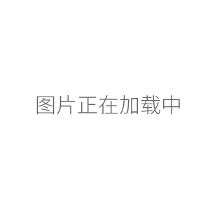 北京六一 DYCZ-40K 轉(zhuǎn)印電泳儀